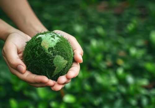 Sustainable practices for environmental protection