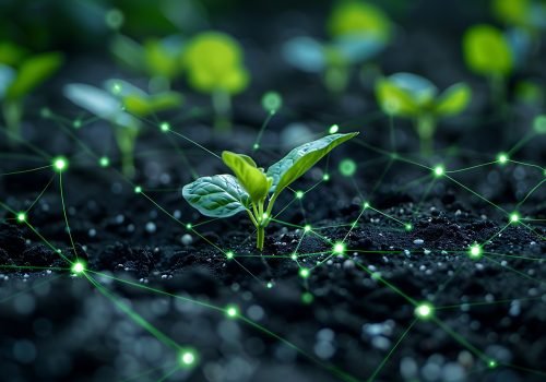 Technology's role in sustainability
