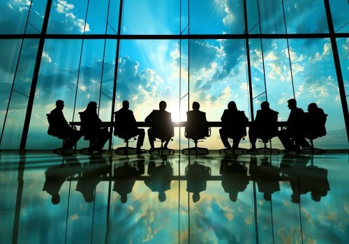 Navigating Conflicts: The Realities of Directorship