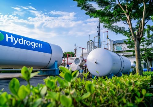 Challenges and opportunities in green hydrogen